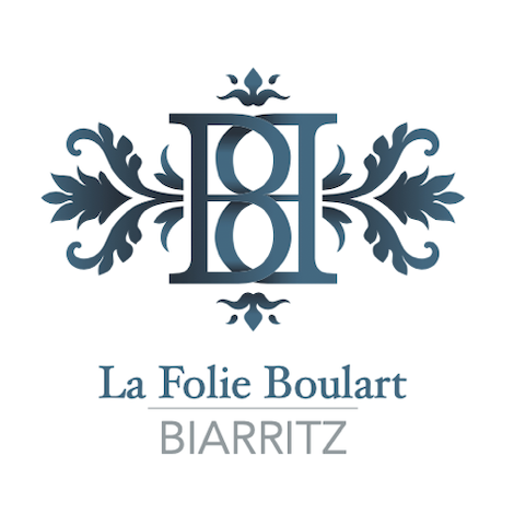 Logo du partenaire 1 - Home Vision