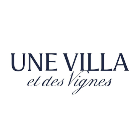Logo du partenaire 2 - Home Vision